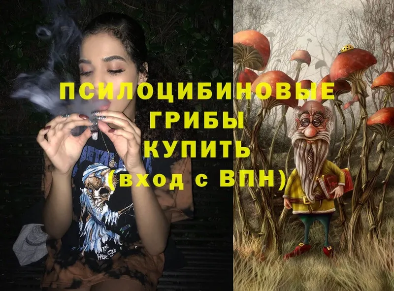 Галлюциногенные грибы Magic Shrooms  кракен зеркало  Кострома 